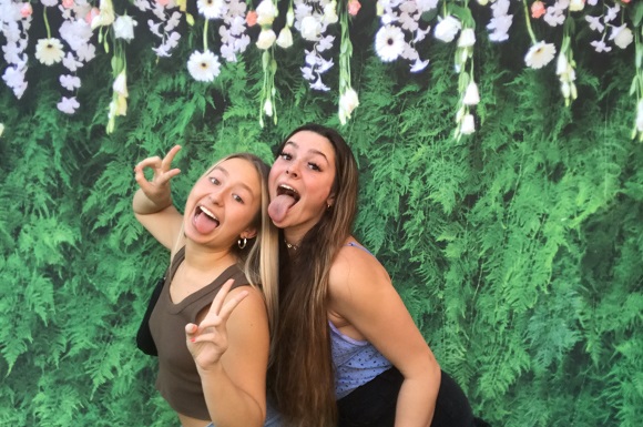 Fern and flowers stretch backdrop